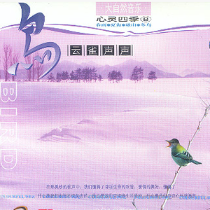 免费看成年入口网站
